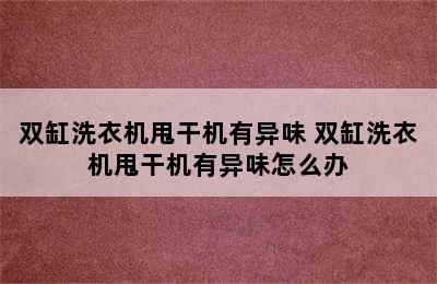 双缸洗衣机甩干机有异味 双缸洗衣机甩干机有异味怎么办